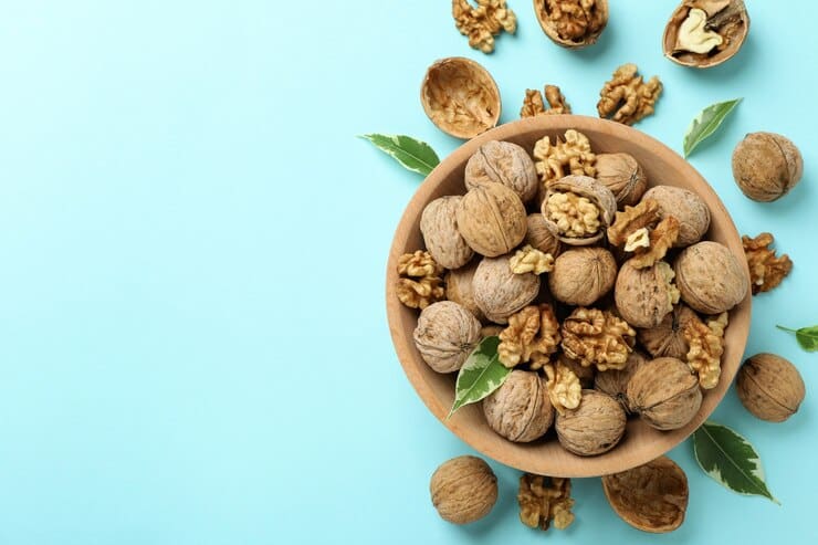 قیمت خرید گردو پوست سخت با فروش عمده